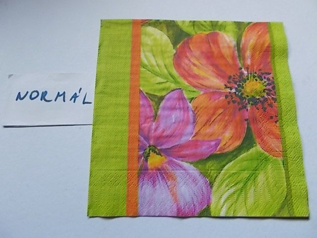 szalvta: PID24237.JPG