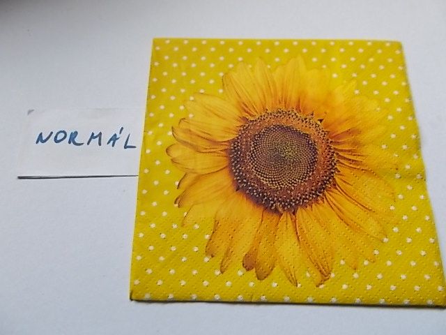 szalvta: PID24238.JPG