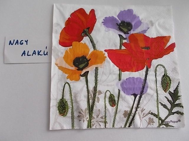 szalvta: PID24322.JPG