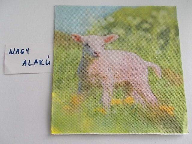 szalvta: PID24325.JPG