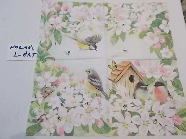 szalvta: PID24337.JPG