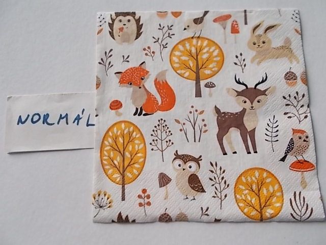 szalvta: PID24375.JPG