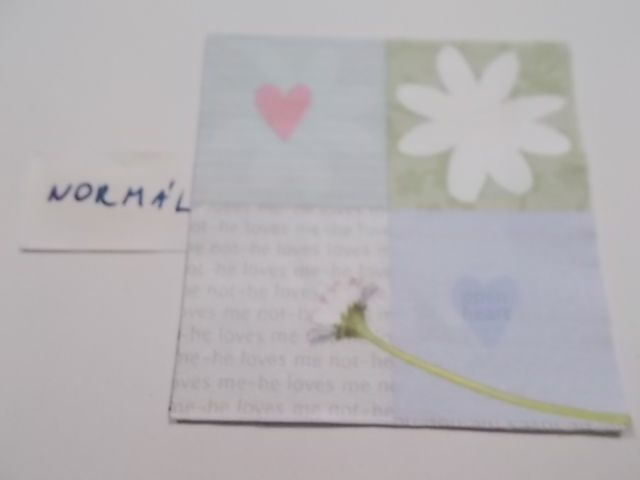 szalvta: PID24595.JPG