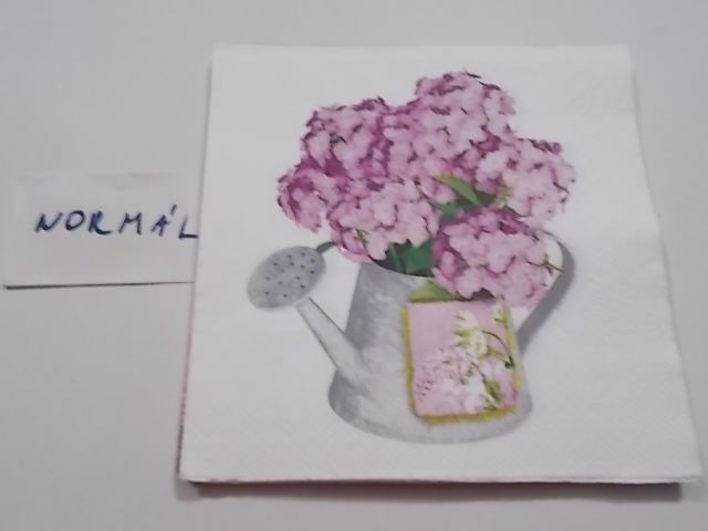 szalvta: PID24636.JPG