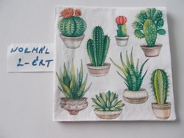 szalvta: PID25042.JPG