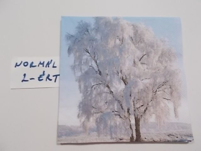 szalvta: PID25054.JPG