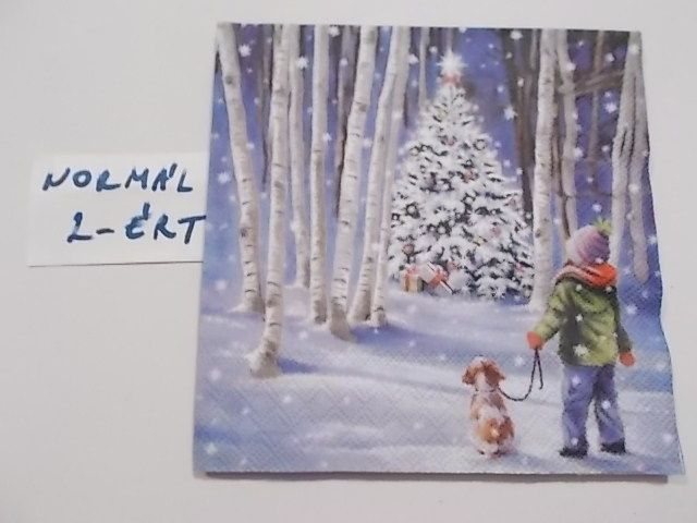 szalvta: PID25055.JPG