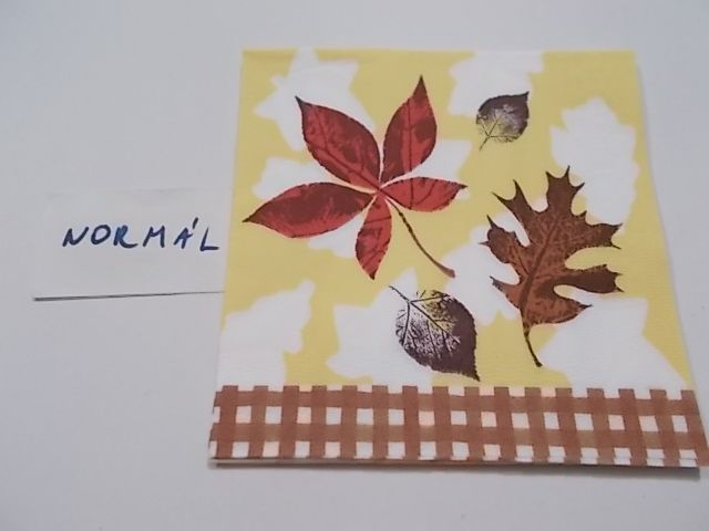 szalvta: PID25075.JPG