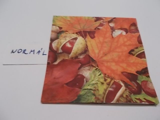 szalvta: PID25080.JPG