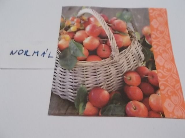 szalvta: PID25101.JPG