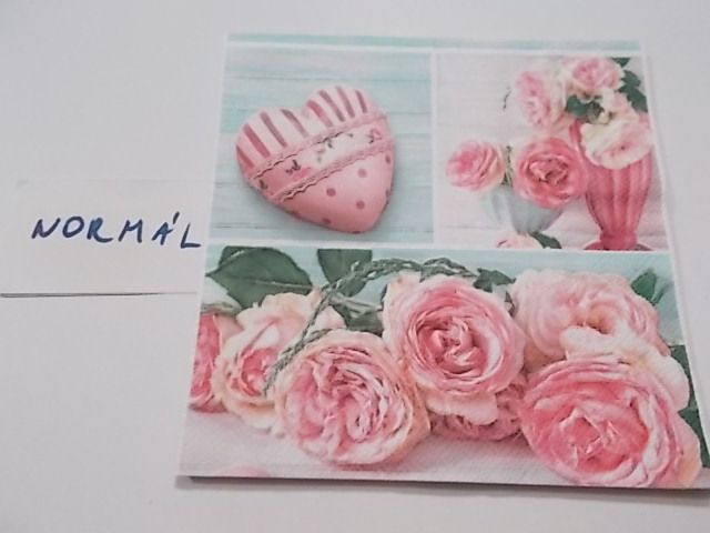 szalvta: PID25223.JPG