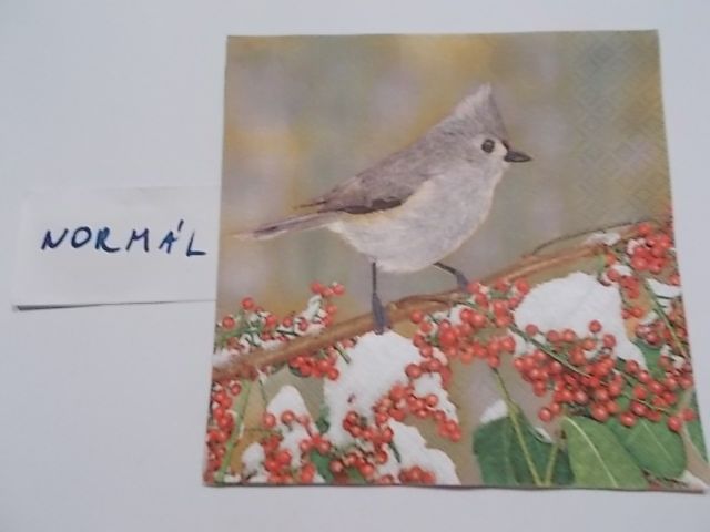 szalvta: PID25366.JPG