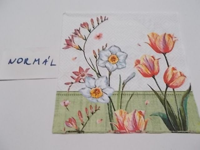 szalvta: PID25404.JPG