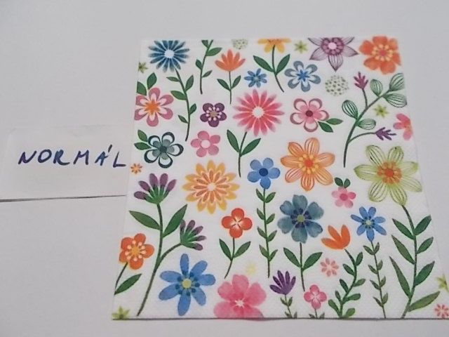 szalvta: PID25417.JPG