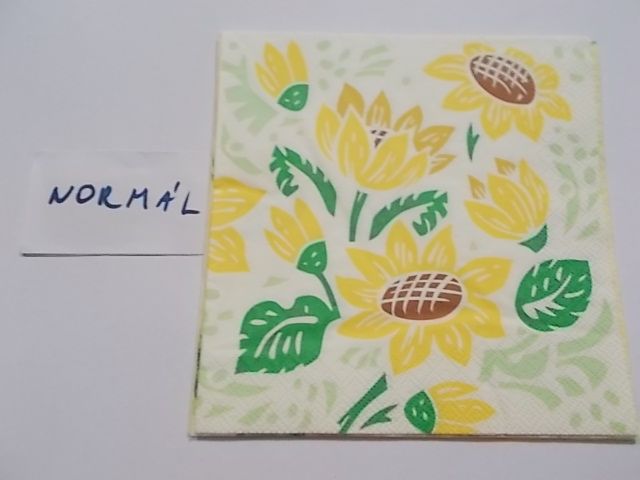 szalvta: PID25426.JPG