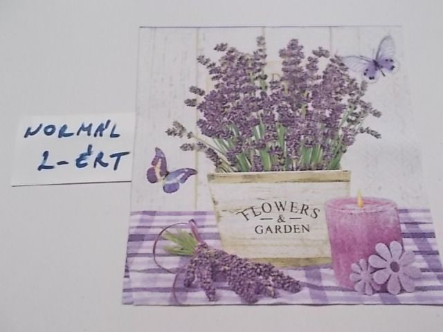 szalvta: PID25427.JPG