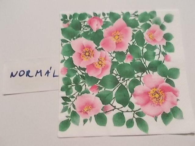 szalvta: PID25448.JPG