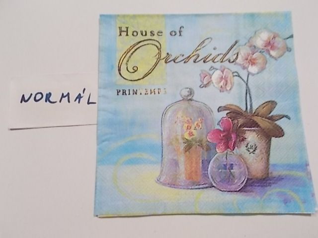 szalvta: PID25449.JPG