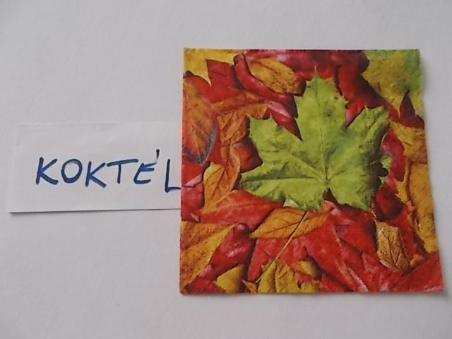 szalvta: PID25726.JPG