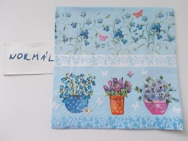 szalvta: PID25889.JPG