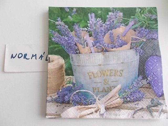 szalvta: PID25901.JPG