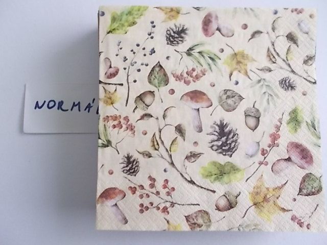 szalvta: PID25918.JPG