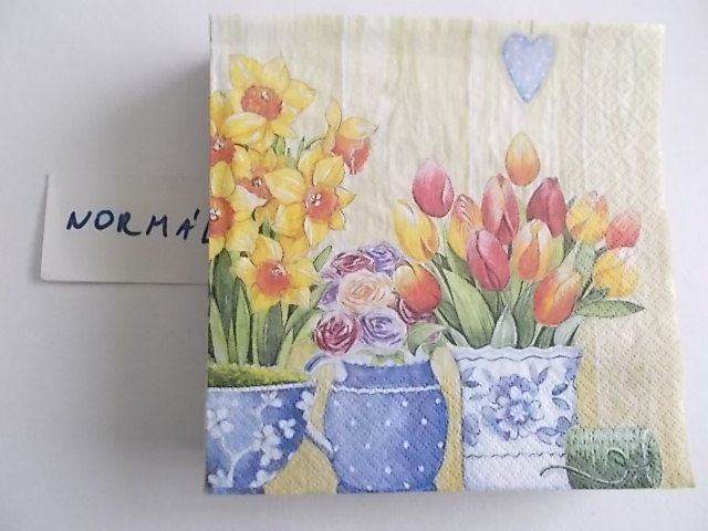 szalvta: PID25919.JPG