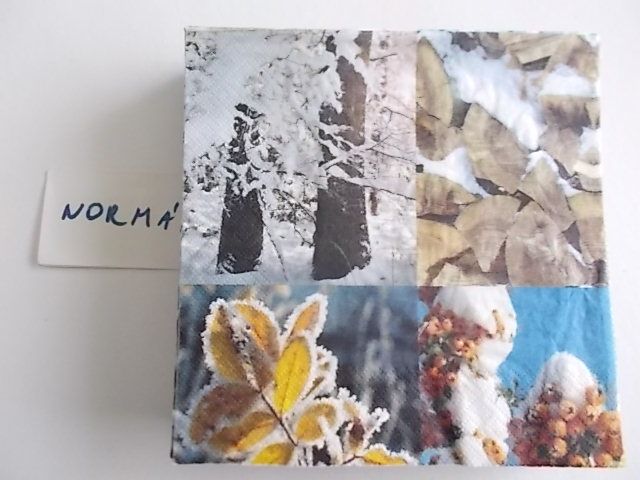 szalvta: PID25921.JPG