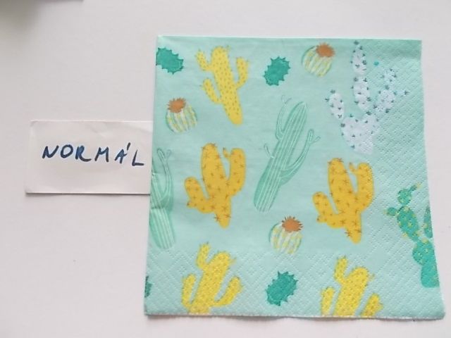 szalvta: PID25977.JPG