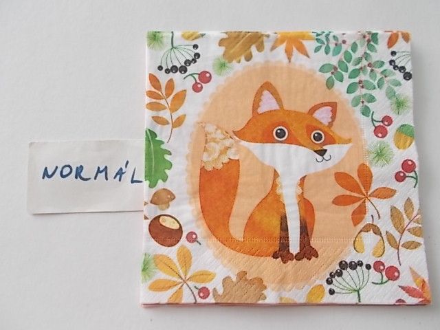 szalvta: PID26033.JPG