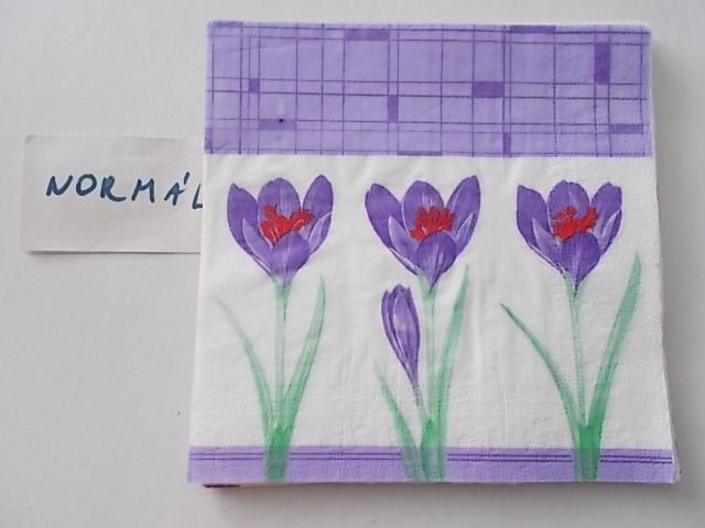 szalvta: PID26103.JPG