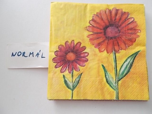 szalvta: PID26134.JPG