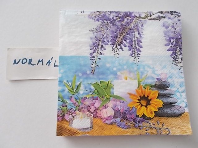 szalvta: PID26174.JPG