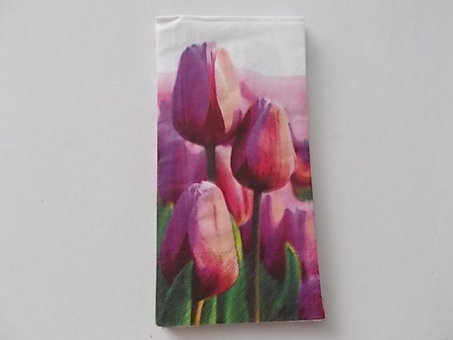 szalvta: PID26214.JPG