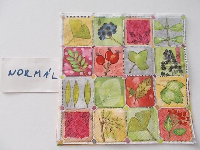 szalvta: PID26241.JPG