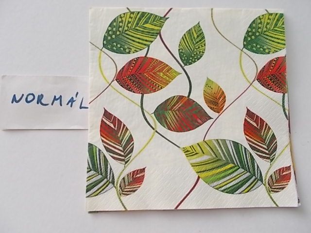 szalvta: PID26242.JPG