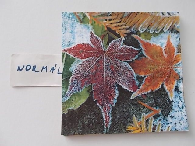 szalvta: PID26243.JPG