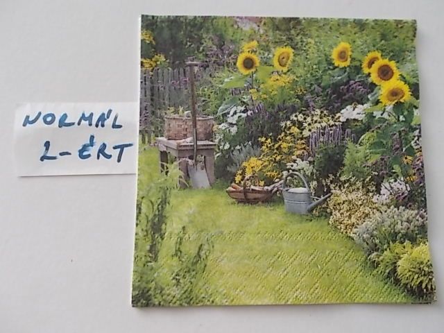 szalvta: PID26264.JPG