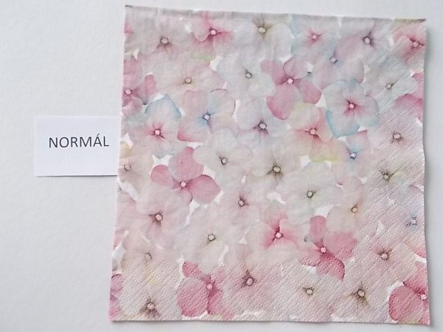 szalvta: PID26682.JPG