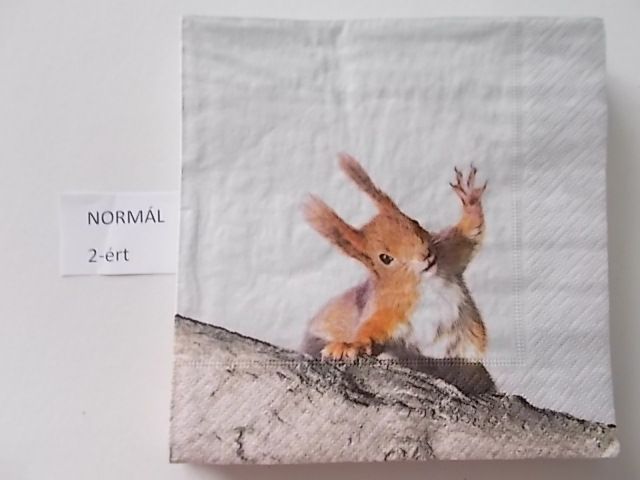 szalvta: PID27058.JPG