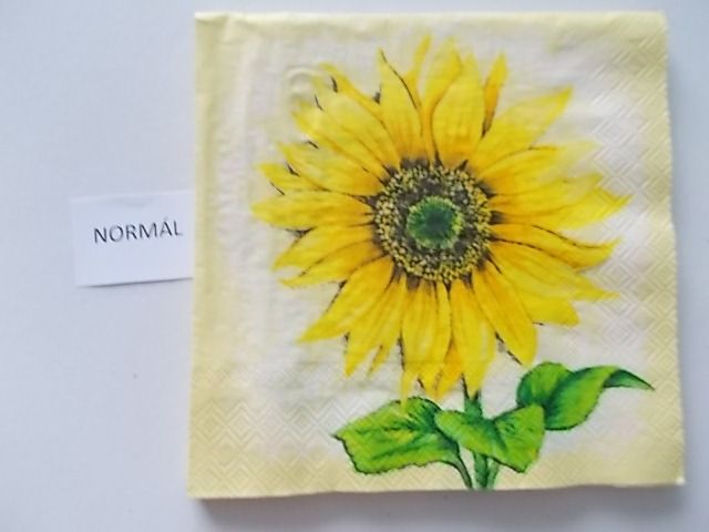 szalvta: PID27059.JPG