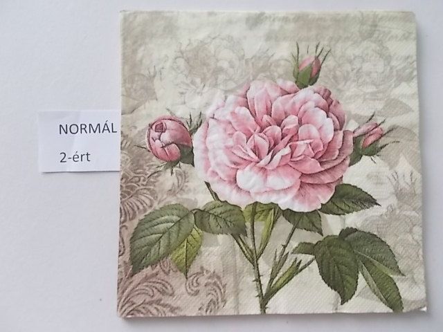 szalvta: PID27075.JPG