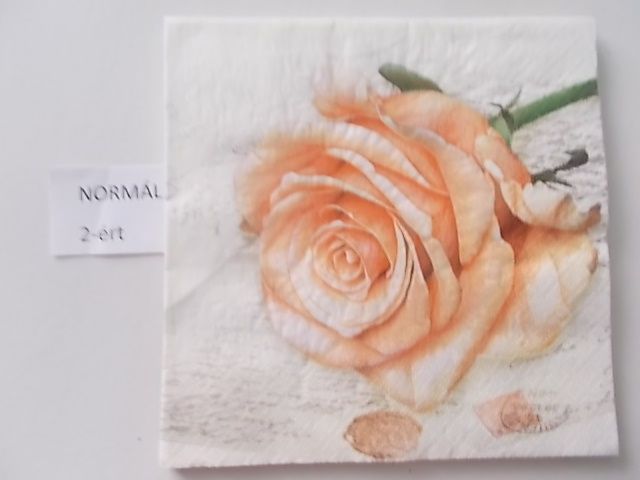 szalvta: PID27076.JPG