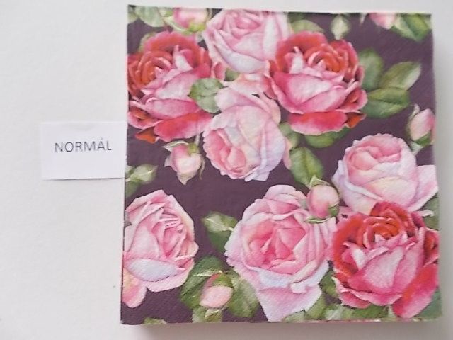 szalvta: PID27081.JPG