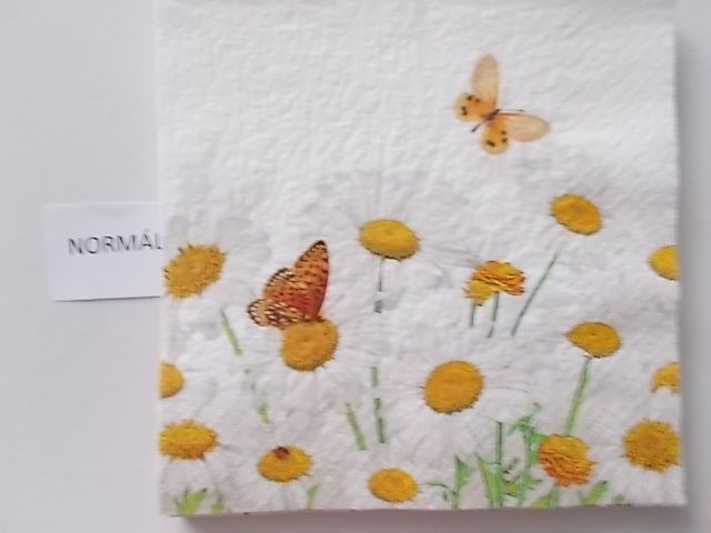 szalvta: PID27092.JPG