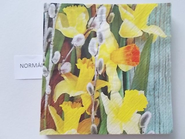 szalvta: PID27093.JPG