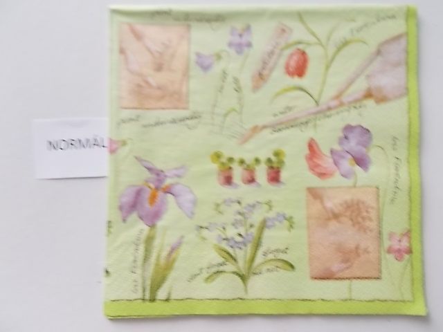 szalvta: PID27103.JPG