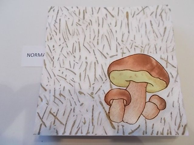 szalvta: PID27192.JPG