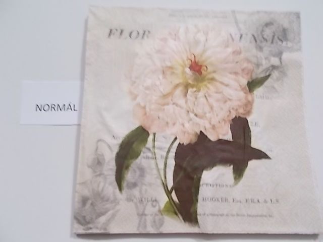 szalvta: PID27238.JPG