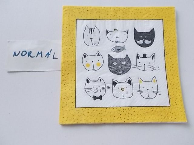 szalvta: PID27776.JPG